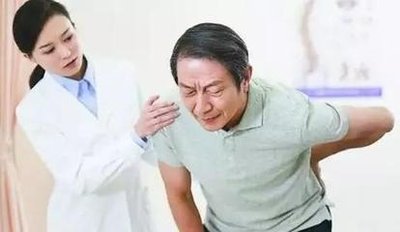 探究骨骼的秘密：從結構功能到健康守護